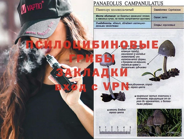 прущая мука Абаза