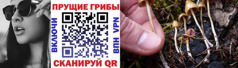 Псилоцибиновые грибы Magic Shrooms  Якутск 