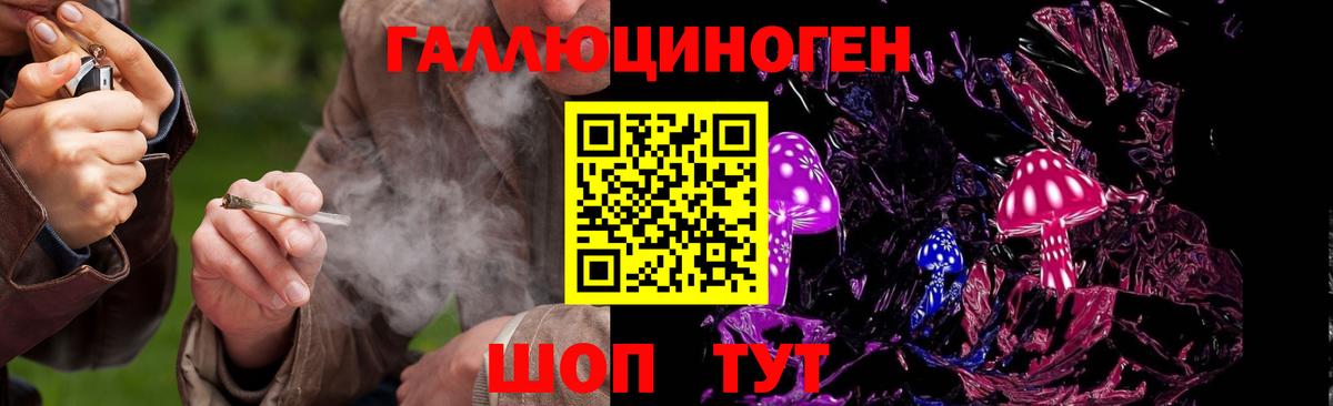 Галлюциногенные грибы Psilocybine cubensis Якутск